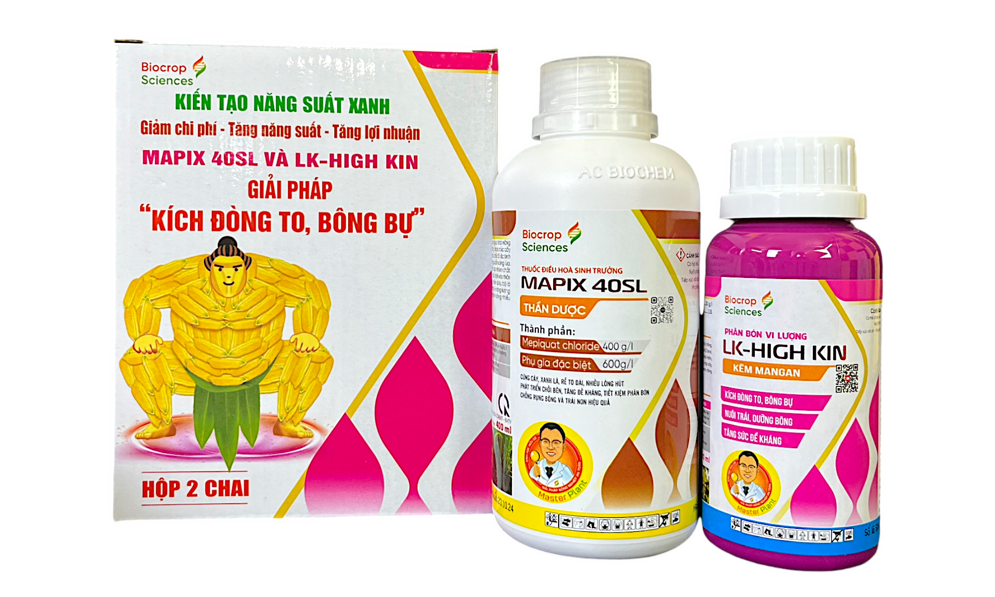 GIẢI PHÁP ĐÒNG TO – BÔNG BỰ