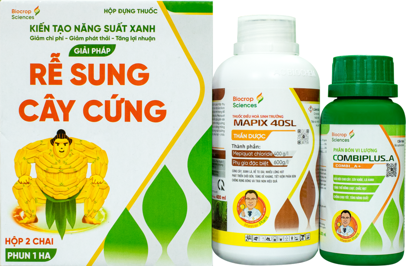 GIẢI PHÁP RỄ SUNG - CÂY CỨNG