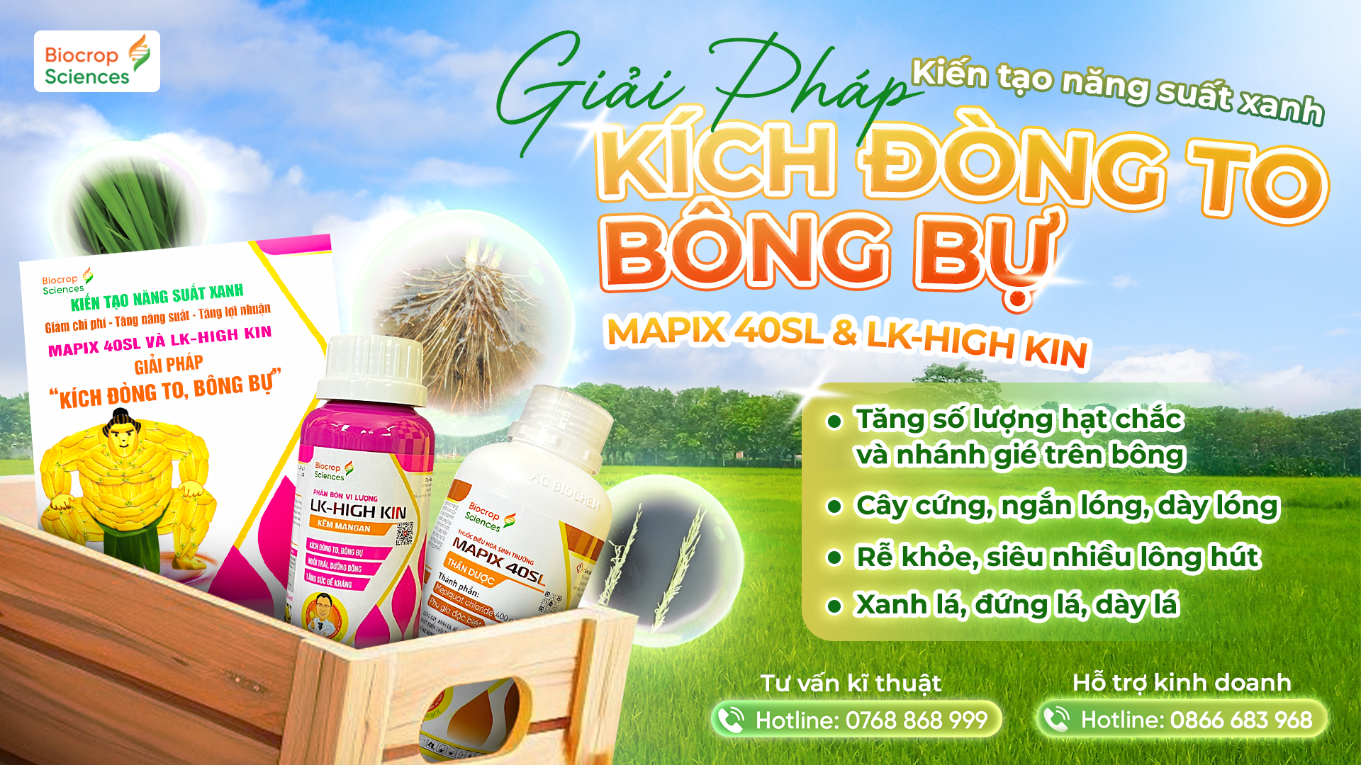 Công dụng của GIẢI PHÁP ĐÒNG TO – BÔNG BỰ