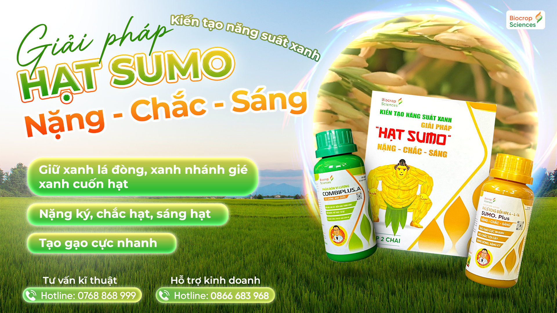 Công dụng của GIẢI PHÁP HẠT SUMO NẶNG – CHẮC – SÁNG