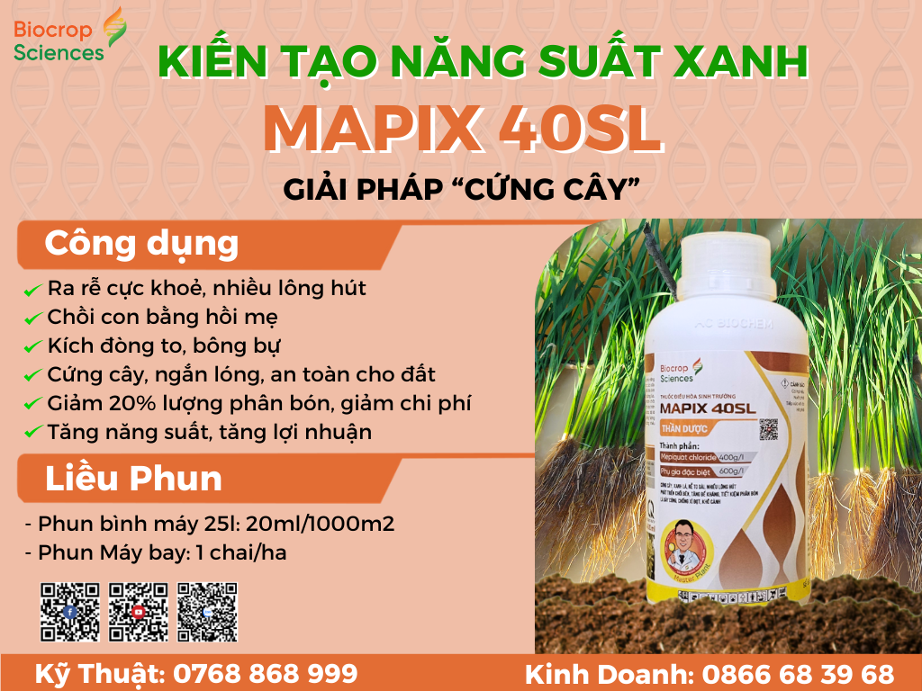 Công dụng của MAPIX 40SL