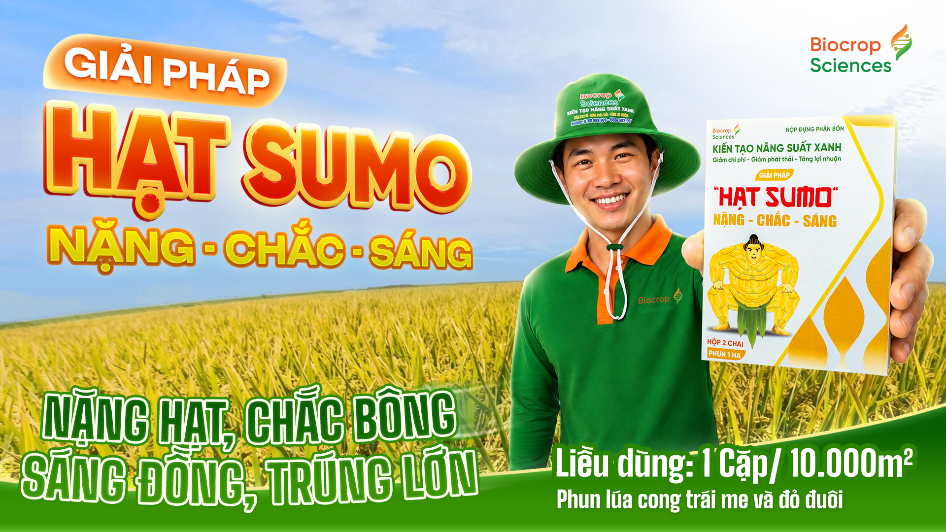Công dụng của GIẢI PHÁP HẠT SUMO NẶNG – CHẮC – SÁNG