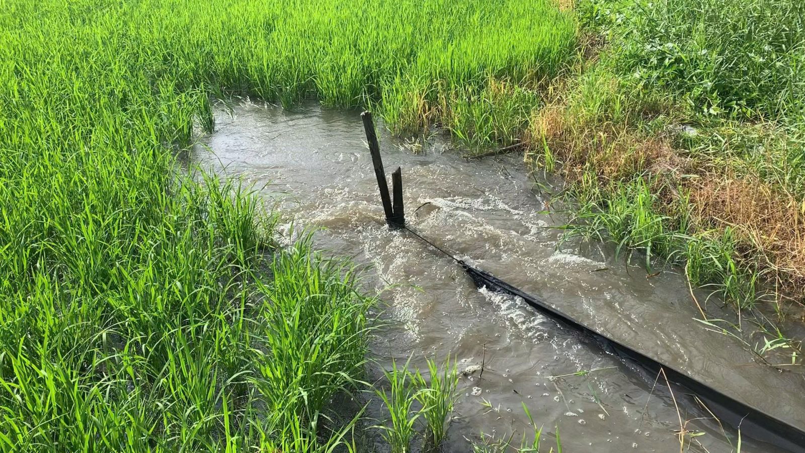 Để thời tiết lạnh kh&ocirc;ng c&ograve;n l&agrave; nỗi lo giai đoạn l&agrave;m đ&ograve;ng