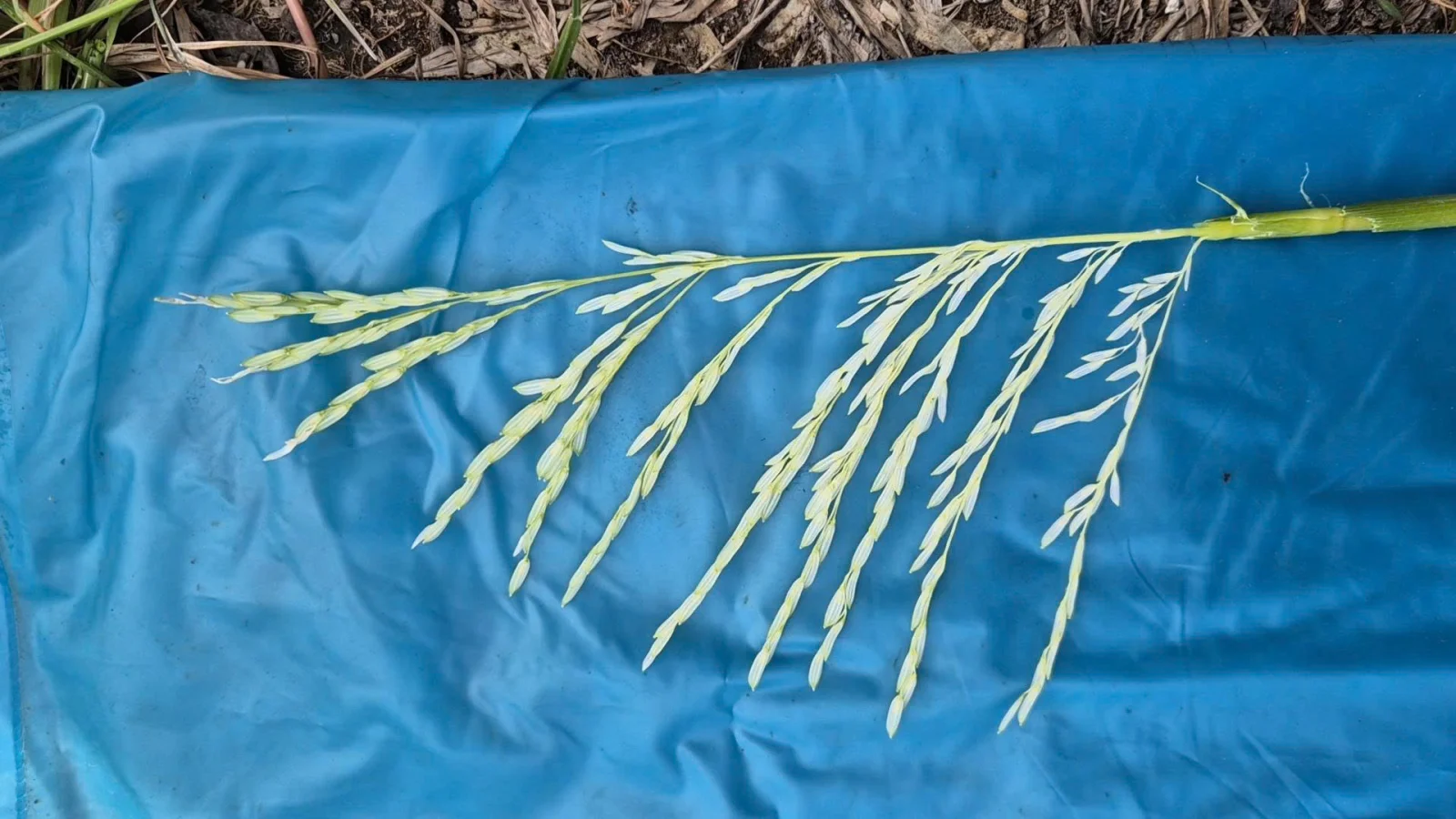 Để thời tiết lạnh kh&ocirc;ng c&ograve;n l&agrave; nỗi lo giai đoạn l&agrave;m đ&ograve;ng