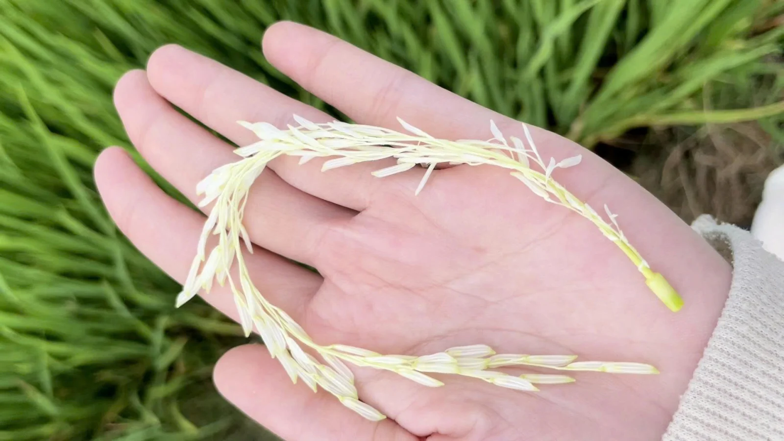 Để thời tiết lạnh kh&ocirc;ng c&ograve;n l&agrave; nỗi lo giai đoạn l&agrave;m đ&ograve;ng