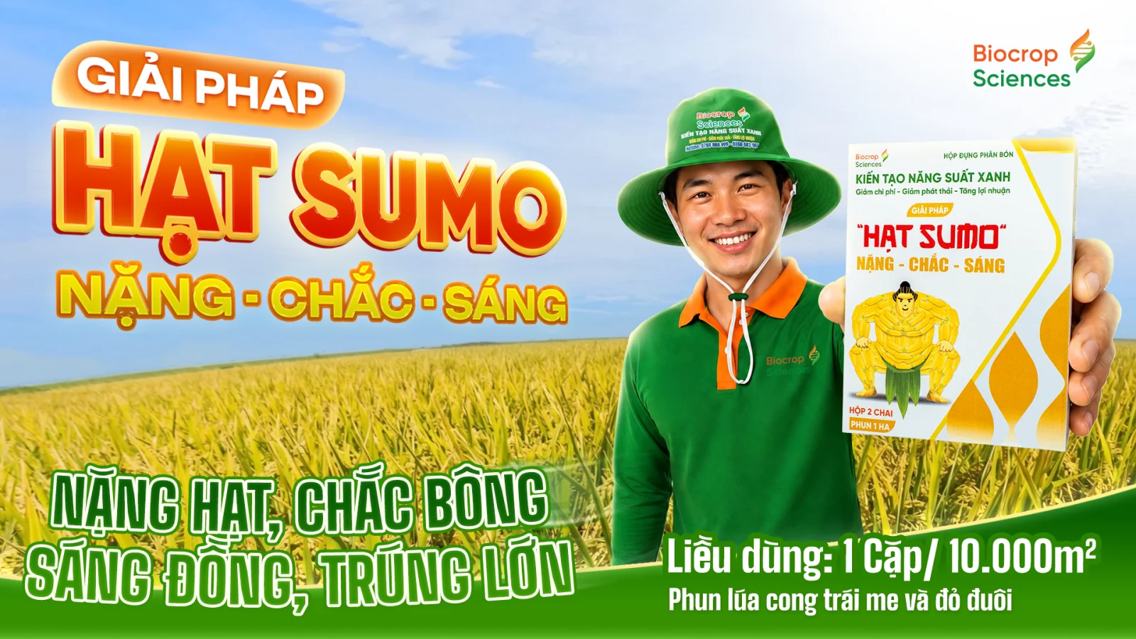 Giải ph&aacute;p Hạt Sumo Nặng - Chắc - S&aacute;ng sử dụng cho l&uacute;a cong tr&aacute;i me & đỏ đu&ocirc;i