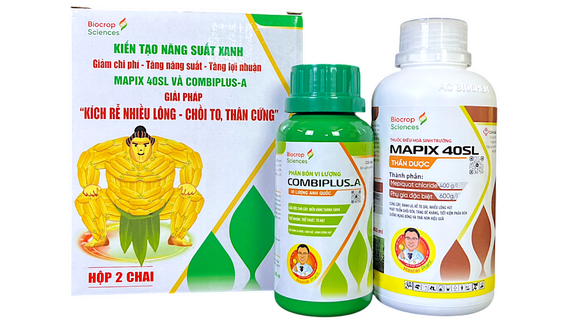 GP KÍCH RỄ NHIỀU LÔNG – CHỒI TO THÂN CỨNG