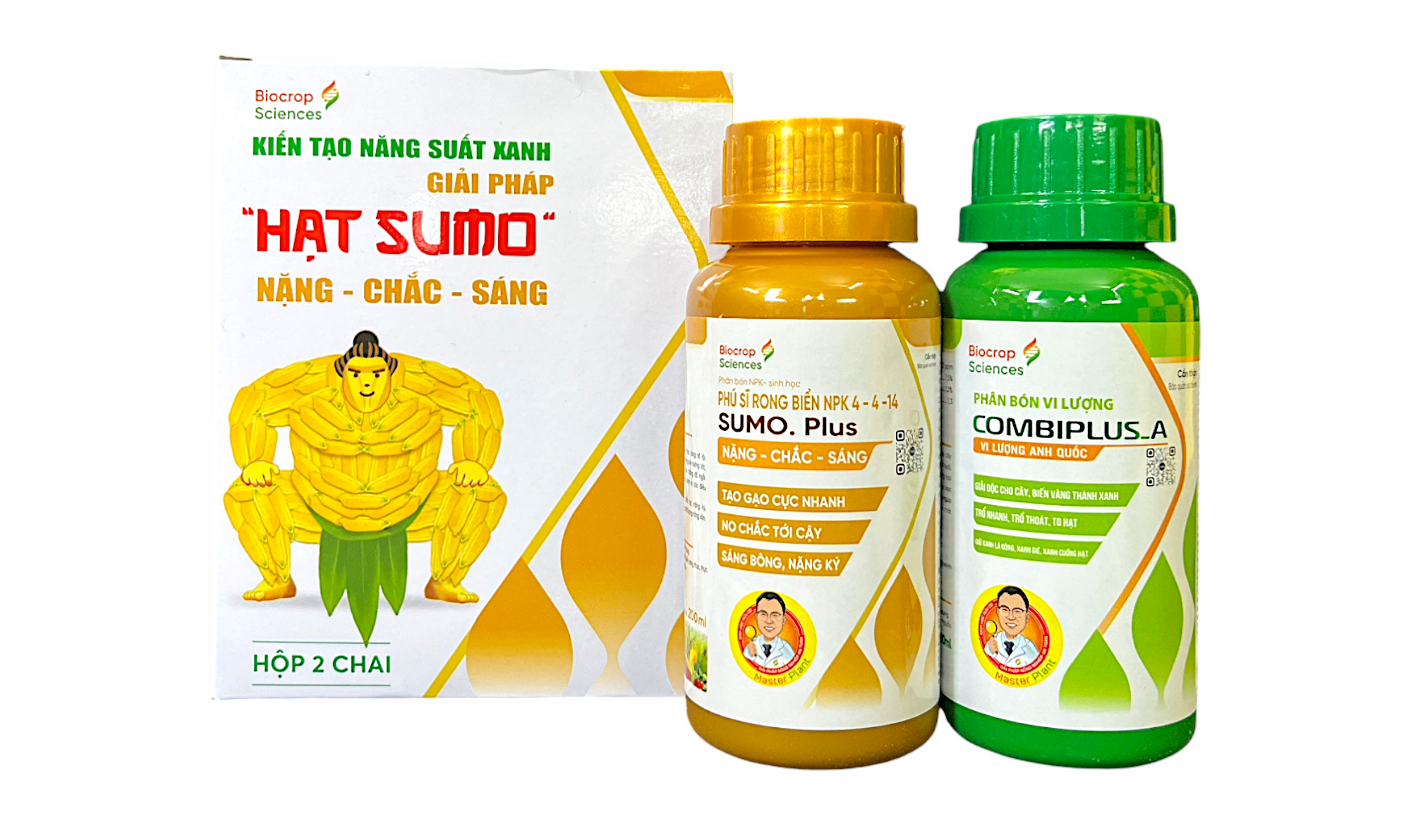 GP HẠT SUMO NẶNG - CHẮC - SÁNG