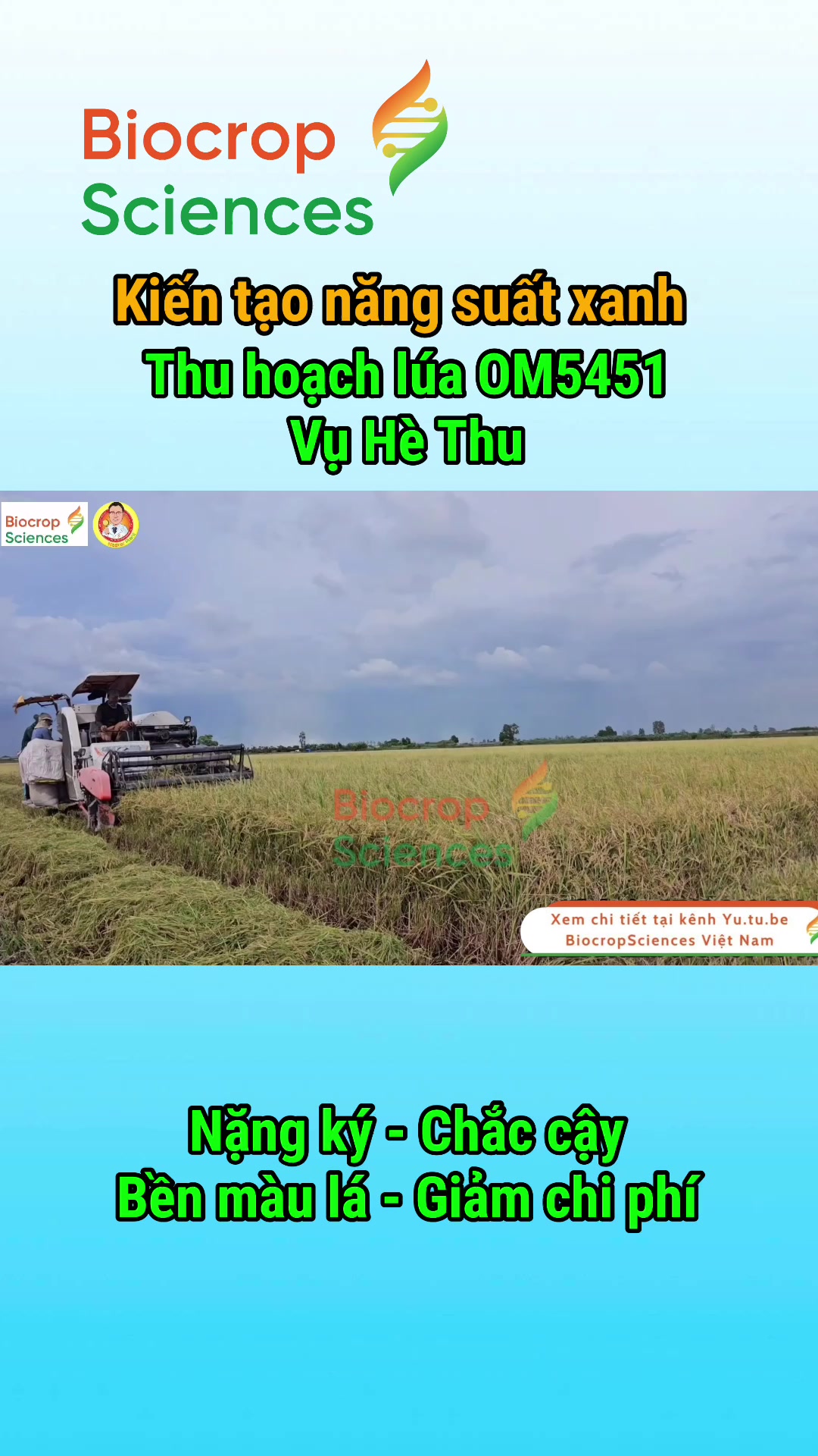Thumbnail video