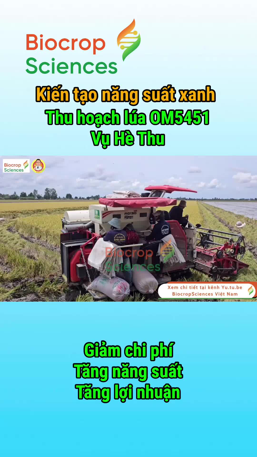 Thumbnail video