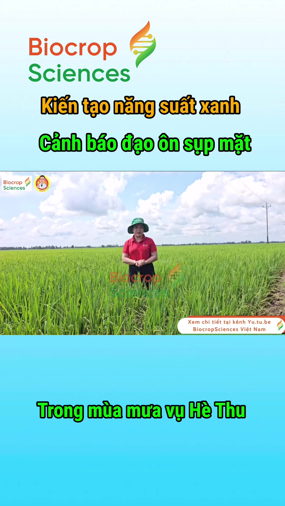Thumbnail video