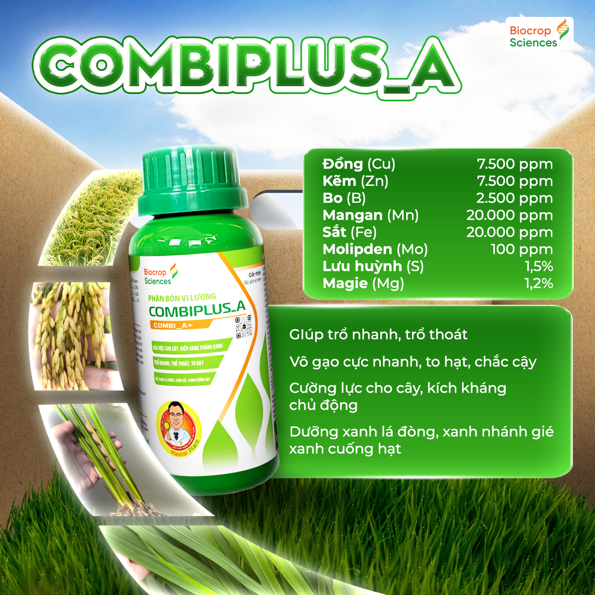 Công dụng của Combiplus_A